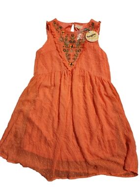 Boutique Coral Embroidered  dress